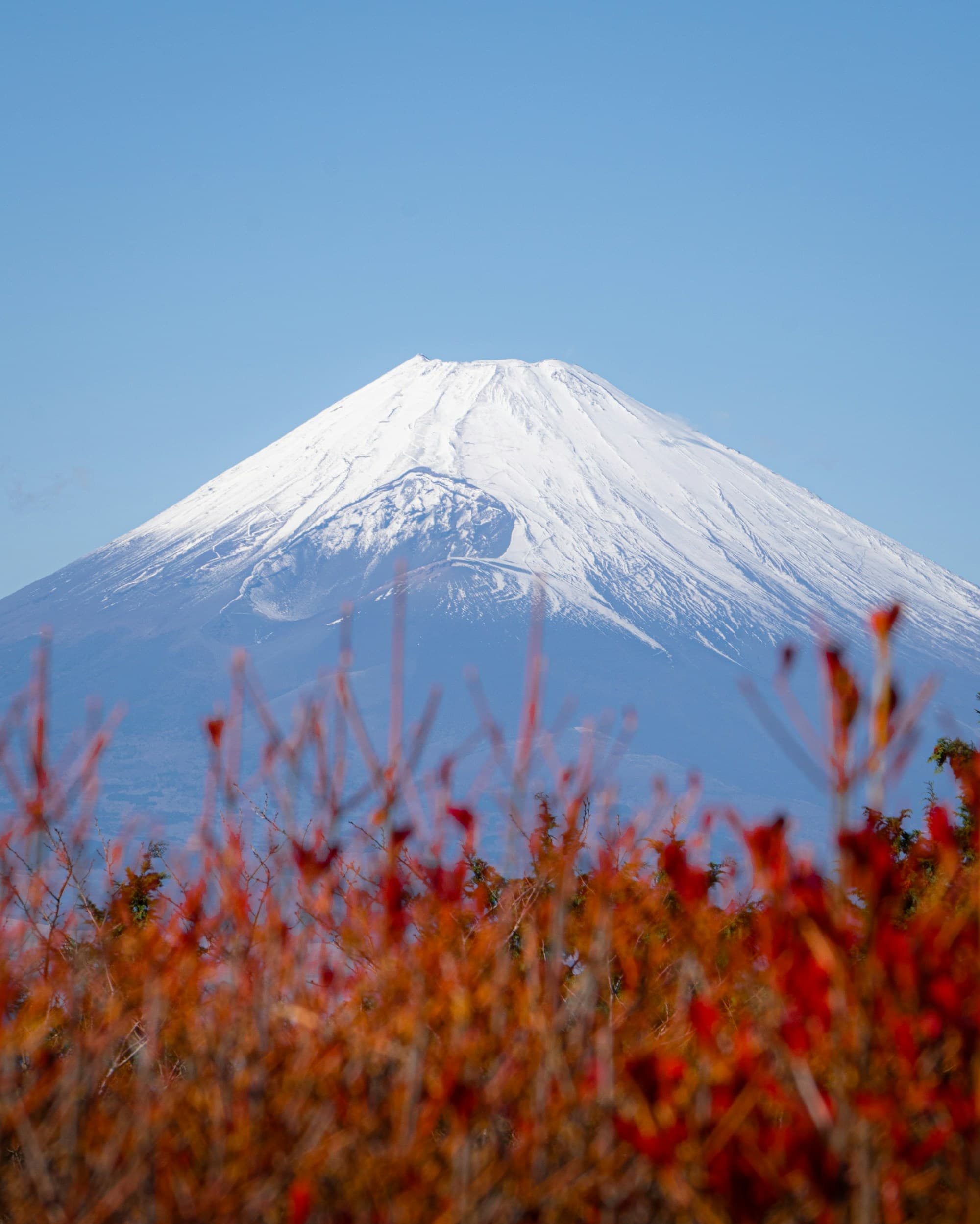 Japan in September 2026: Typhoons, Silver Week, Weather & Fewer Crowds