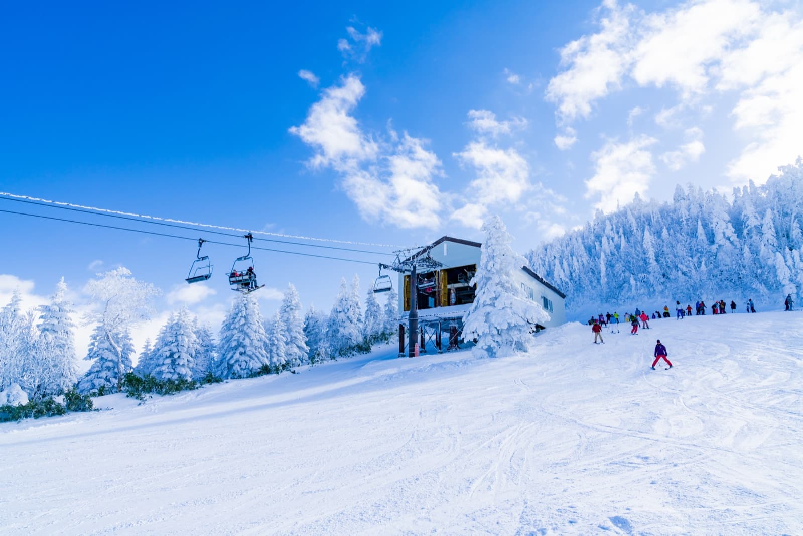 The Best Ski Resorts in Japan: 12 Ranked for 2026-27 (and Which Ones We Book)