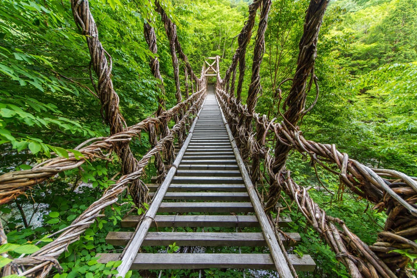 The Kazurabashi vine bridge in Iya Valley, Tokushima — wooden slats and thick woven vines crossing a gorge in deep green forest