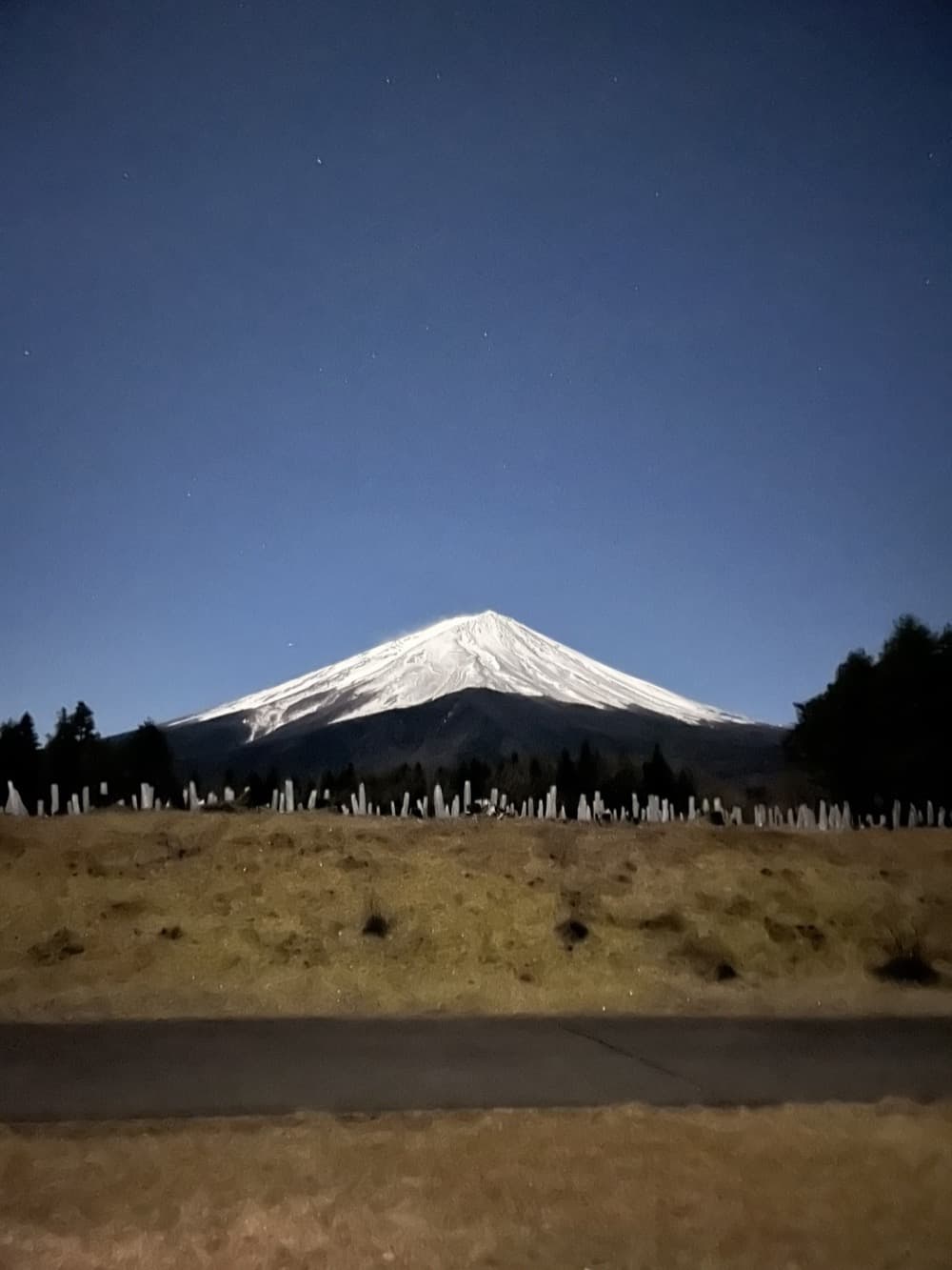 Mount Fuji under a clear starry night sky in winter, its snow-covered upper slopes lit by moonlight above a dark treeline