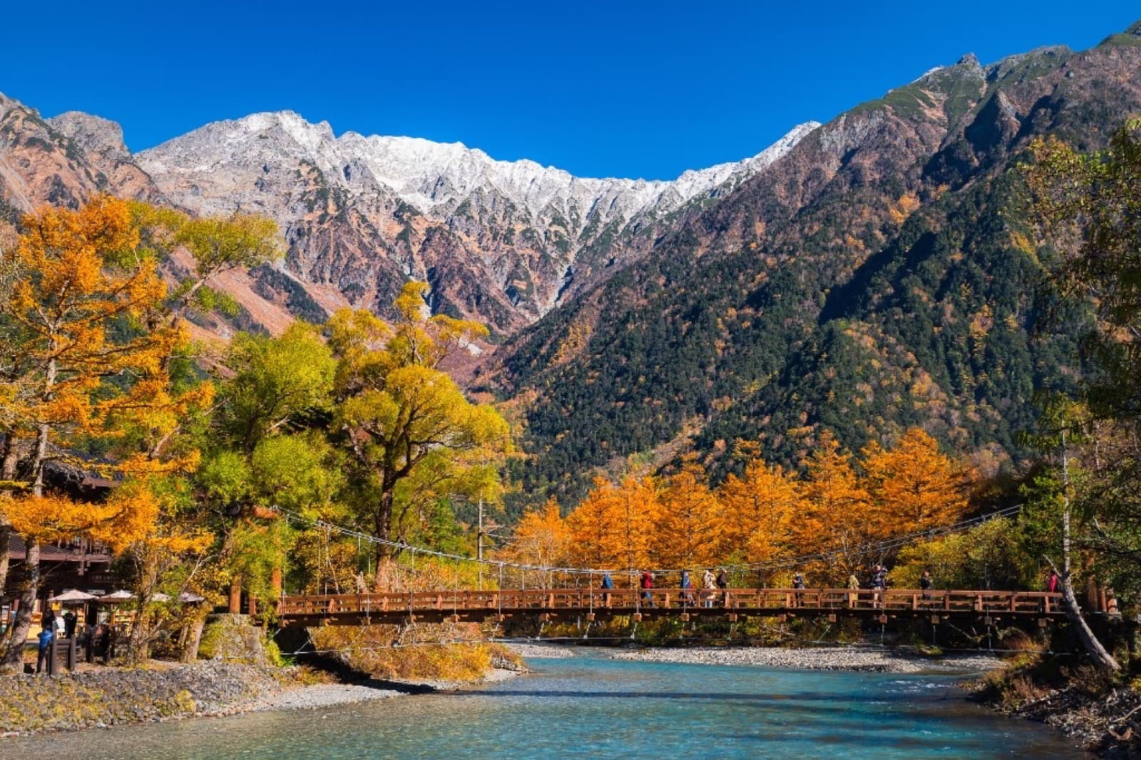 Kappabashi Bridge in Kamikochi with golden larch trees and the snow-capped Hotaka Mountains in November