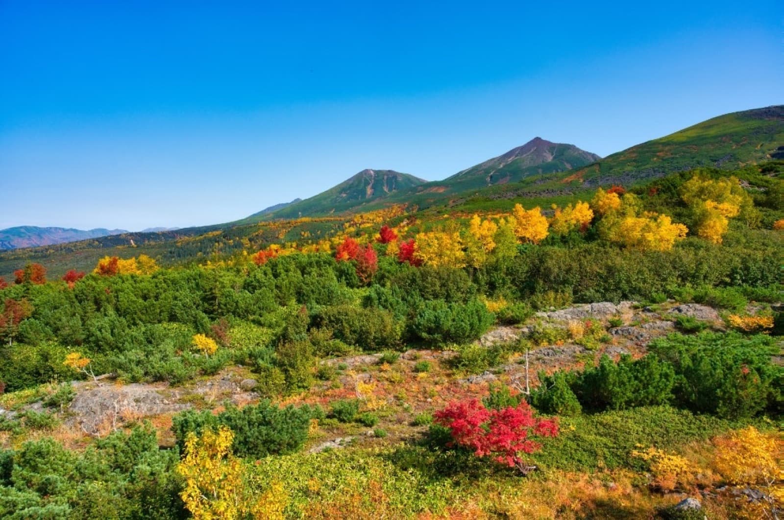 Japan in October 2026: A Practical Self-Guided Traveler's Guide