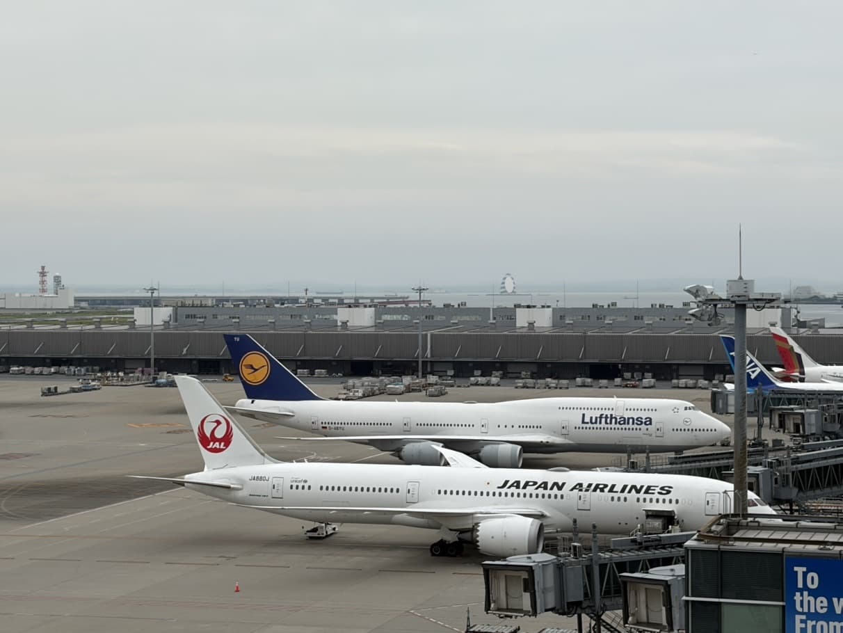 Aircraft parked at gates on the apron at Tokyo Haneda Airport under a grey overcast sky