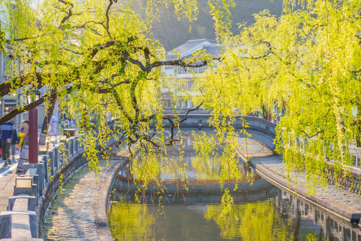 Weeping willows and a stone arch bridge over the canal at Kinosaki Onsen, with visitors strolling between bathhouses in yukata