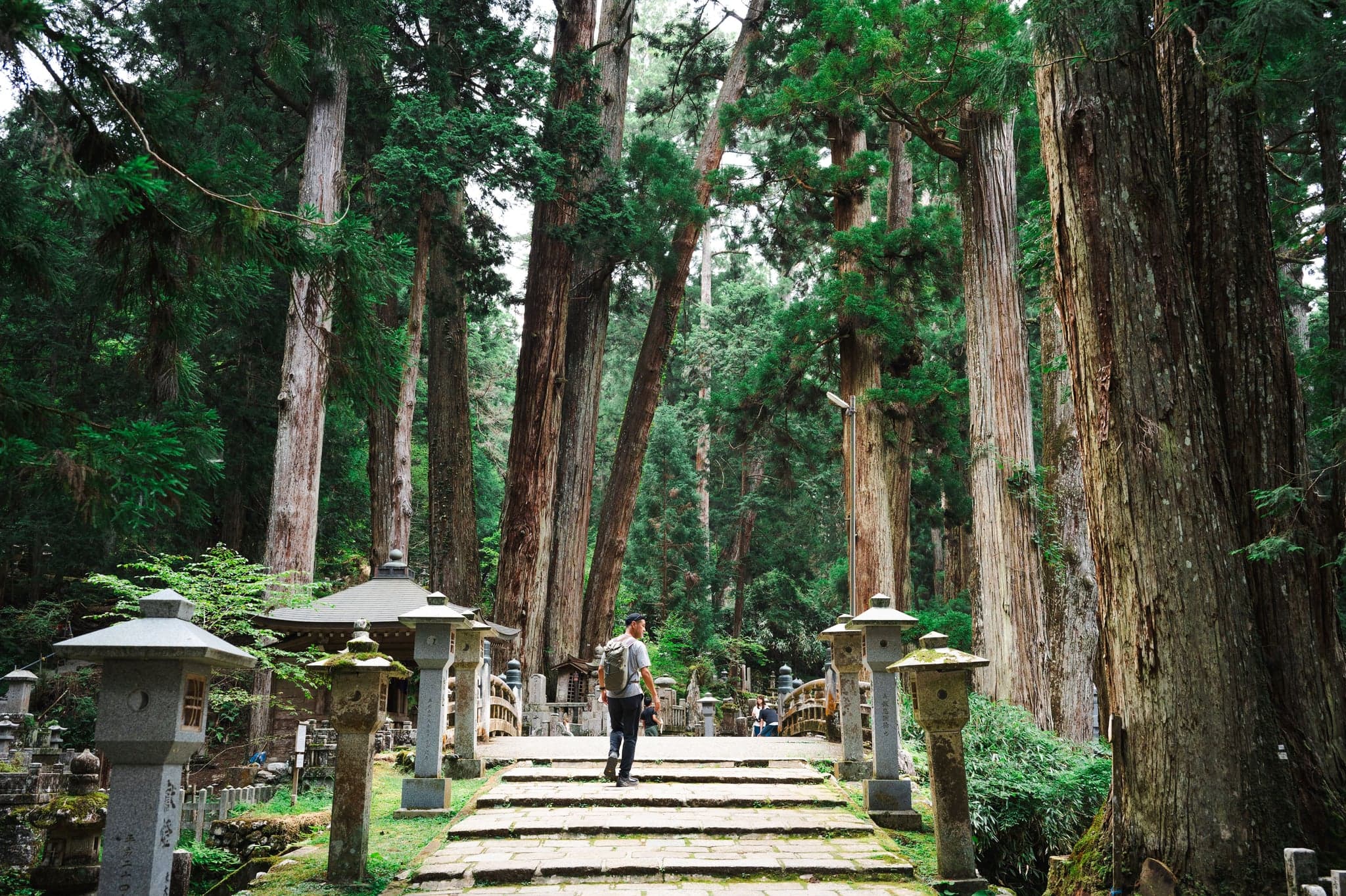 Japan Solo Tours: Self-Guided Trips for One, With Single Rooms and Real Prices