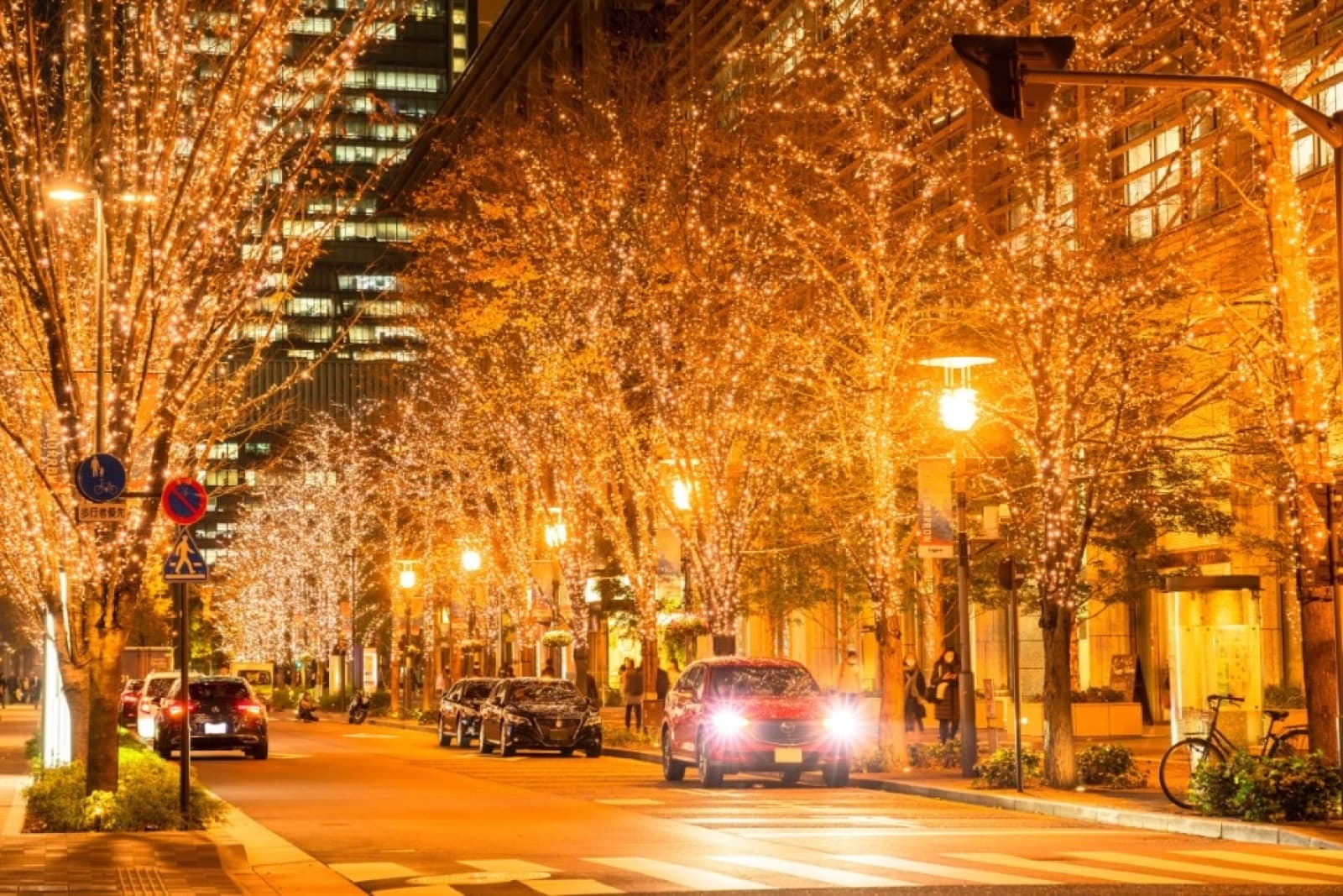 Japan Winter Illuminations 2026: The Traveler's Guide to Nabana no Sato and Tokyo's Best Light Displays