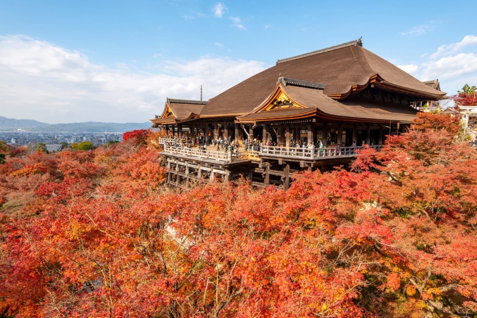 Best Places to See Autumn Leaves in Japan: 9 Top Spots & 2026 Peak Dates