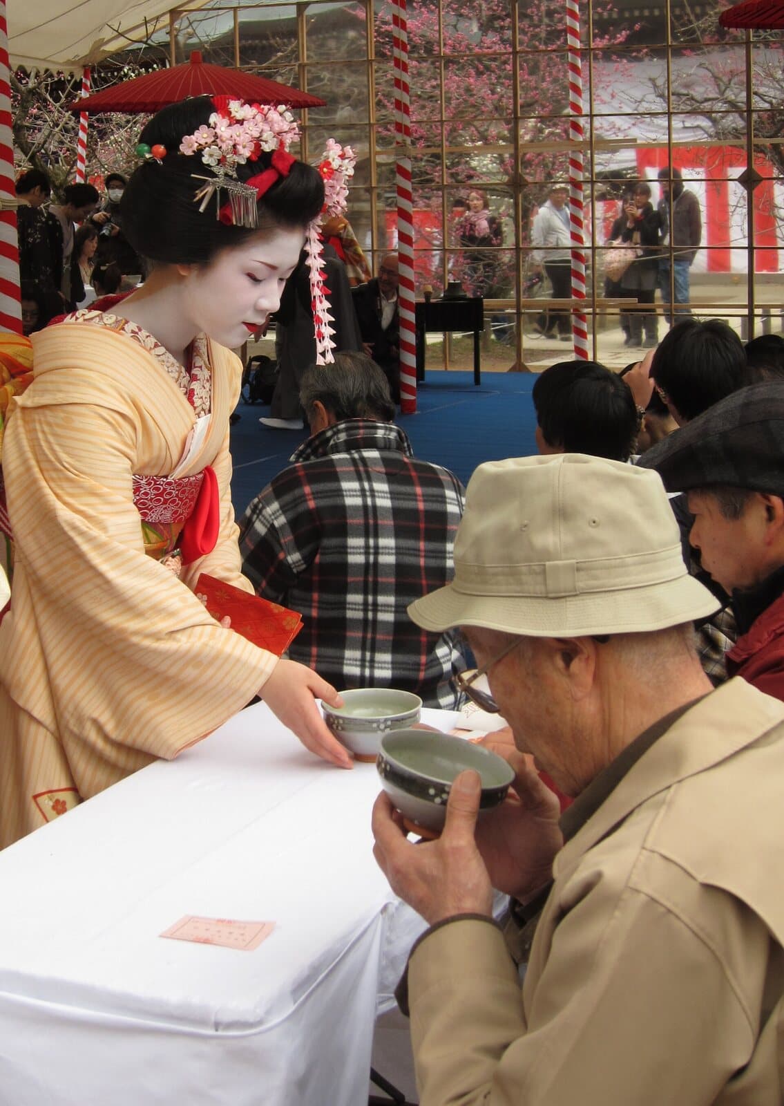 A maiko in a kimono with plum-blossom hair ornaments setting down a bowl of tea for an older visitor at an outdoor tea table
