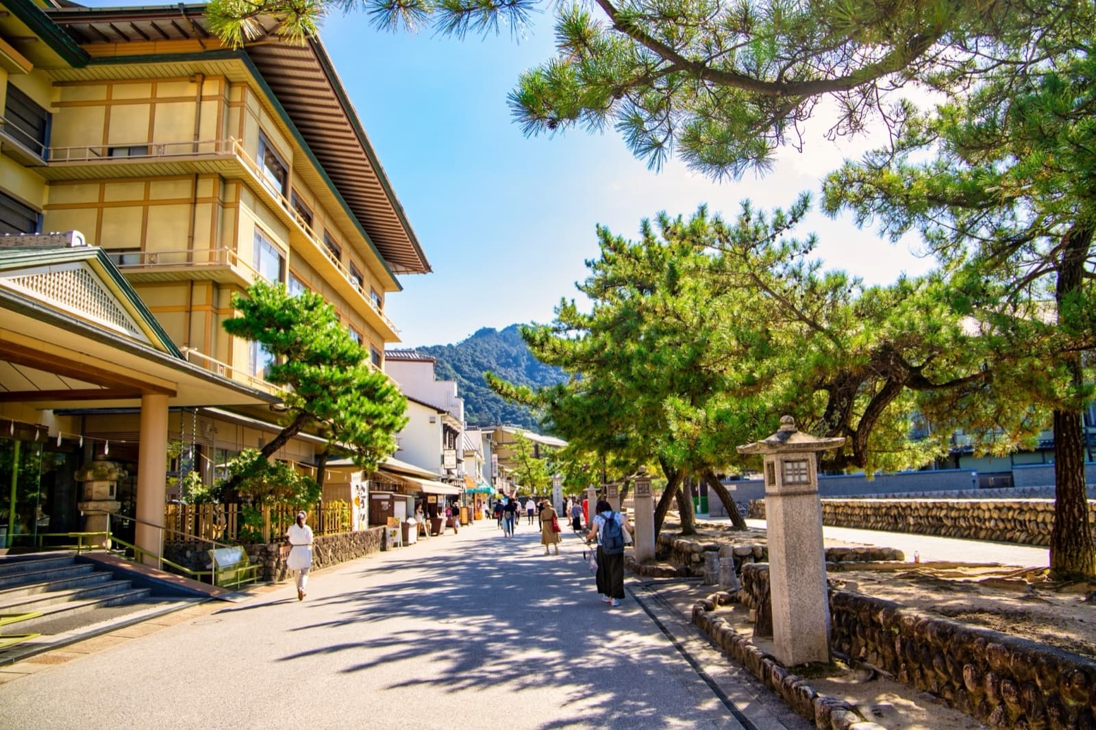 The pine-lined approach street on Miyajima Island leading from the ferry pier toward Itsukushima Shrine
