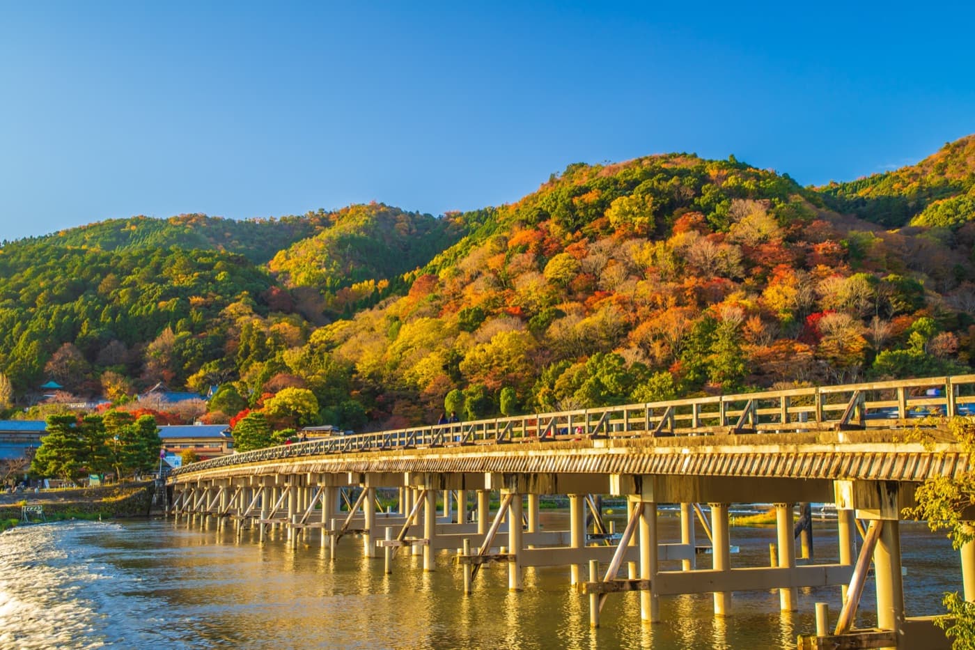 Arashiyama Autumn Leaves 2026: A Self-Guided Traveler's Guide to Kyoto's Best Momiji Season