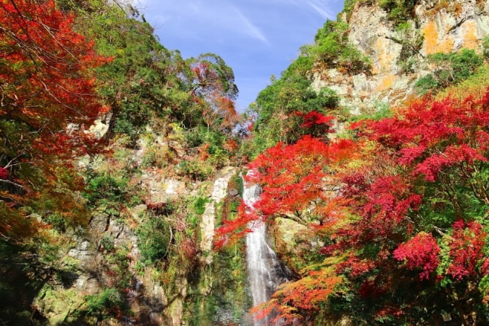 Osaka Autumn Leaves 2026: Peak Dates, Minoo Park & Why It Beats Kyoto as a Base