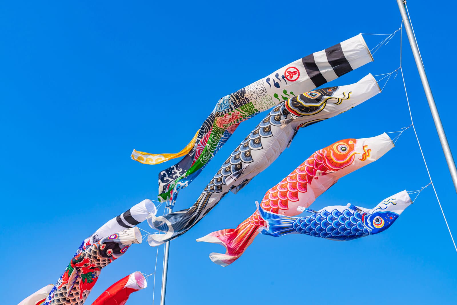 Colorful carp streamers flying from a pole against a clear blue sky