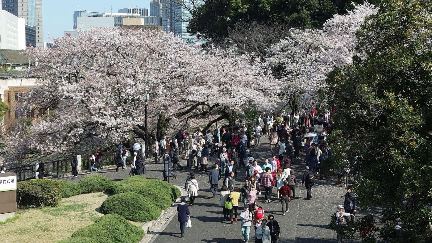 Crowds walking the cherry-lined path above the Chidorigafuchi moat in Tokyo, with the city skyline behind