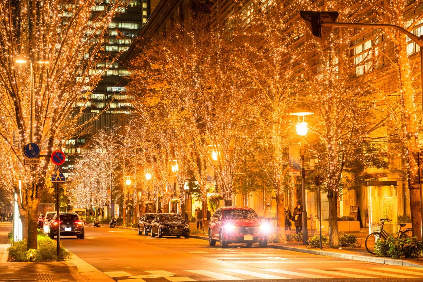 Marunouchi Naka-dori at night, both sides of the street lined with trees wrapped in champagne-gold lights above the traffic and pavements