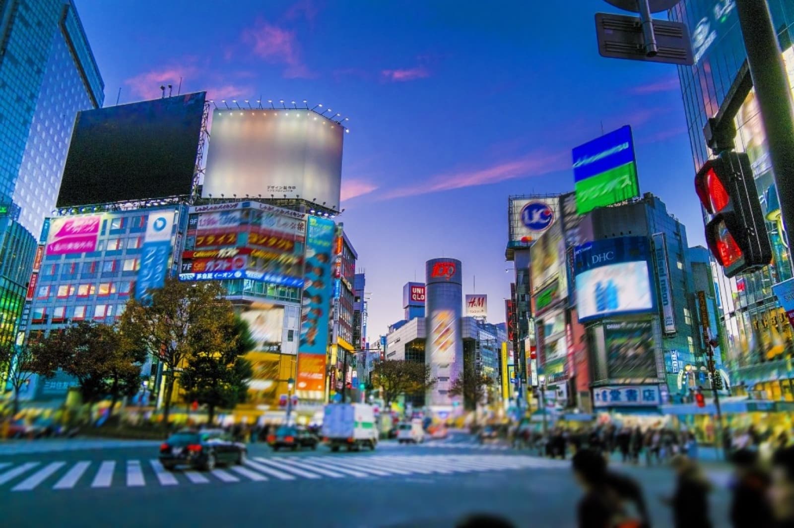 Where to Stay in Tokyo 2026: Best Areas & Neighborhoods by Traveler Type