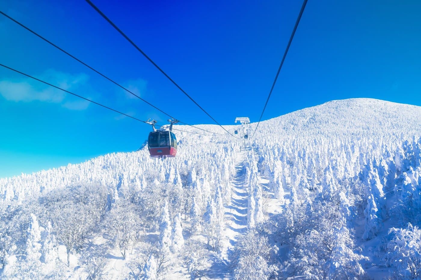 A red Zao Ropeway gondola climbing above a slope densely covered with juhyo snow monsters under a clear blue sky