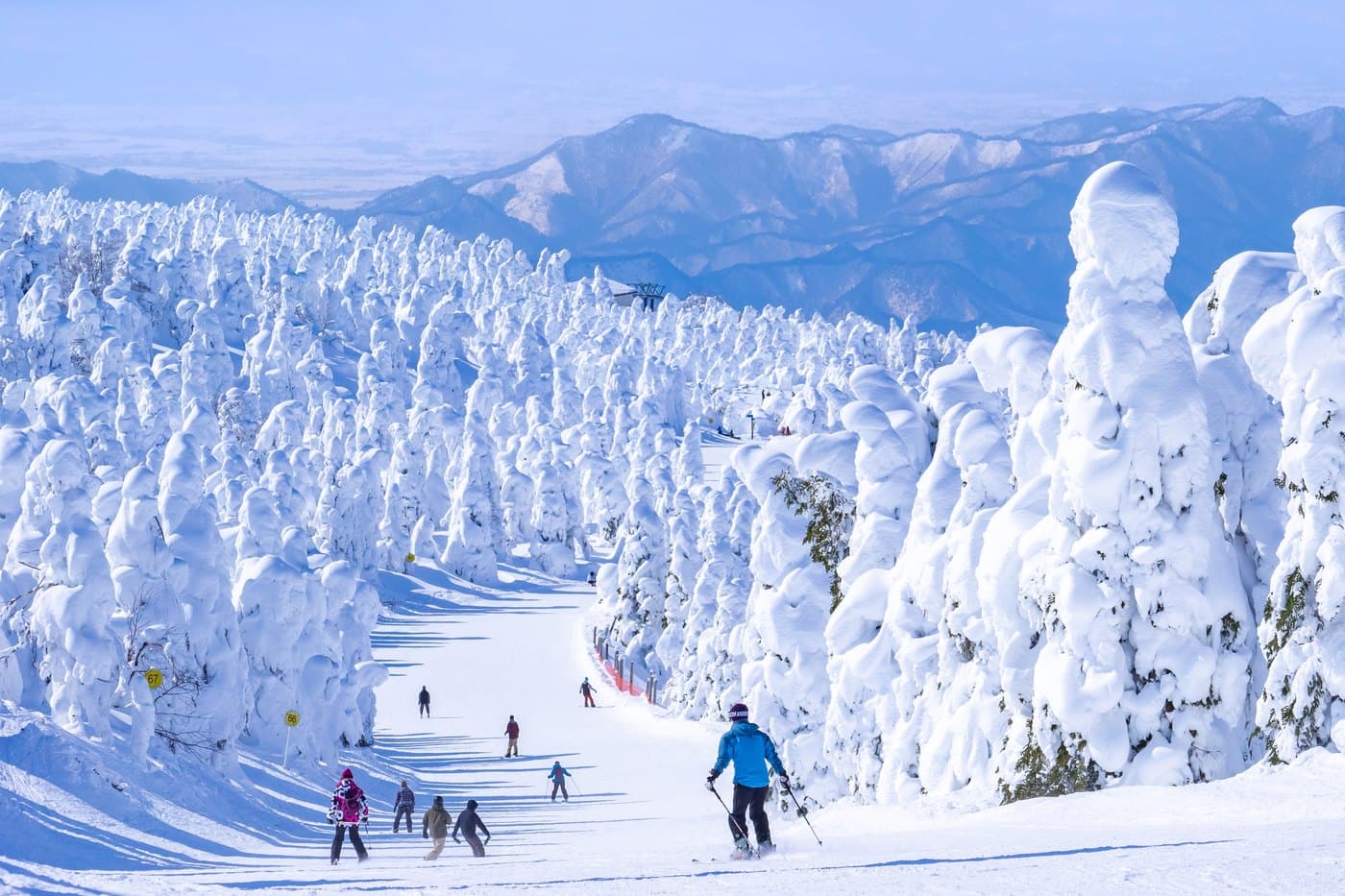 Skiers descending a groomed course at Zao Onsen Ski Resort lined on both sides by juhyo — frost-covered trees known as snow monsters