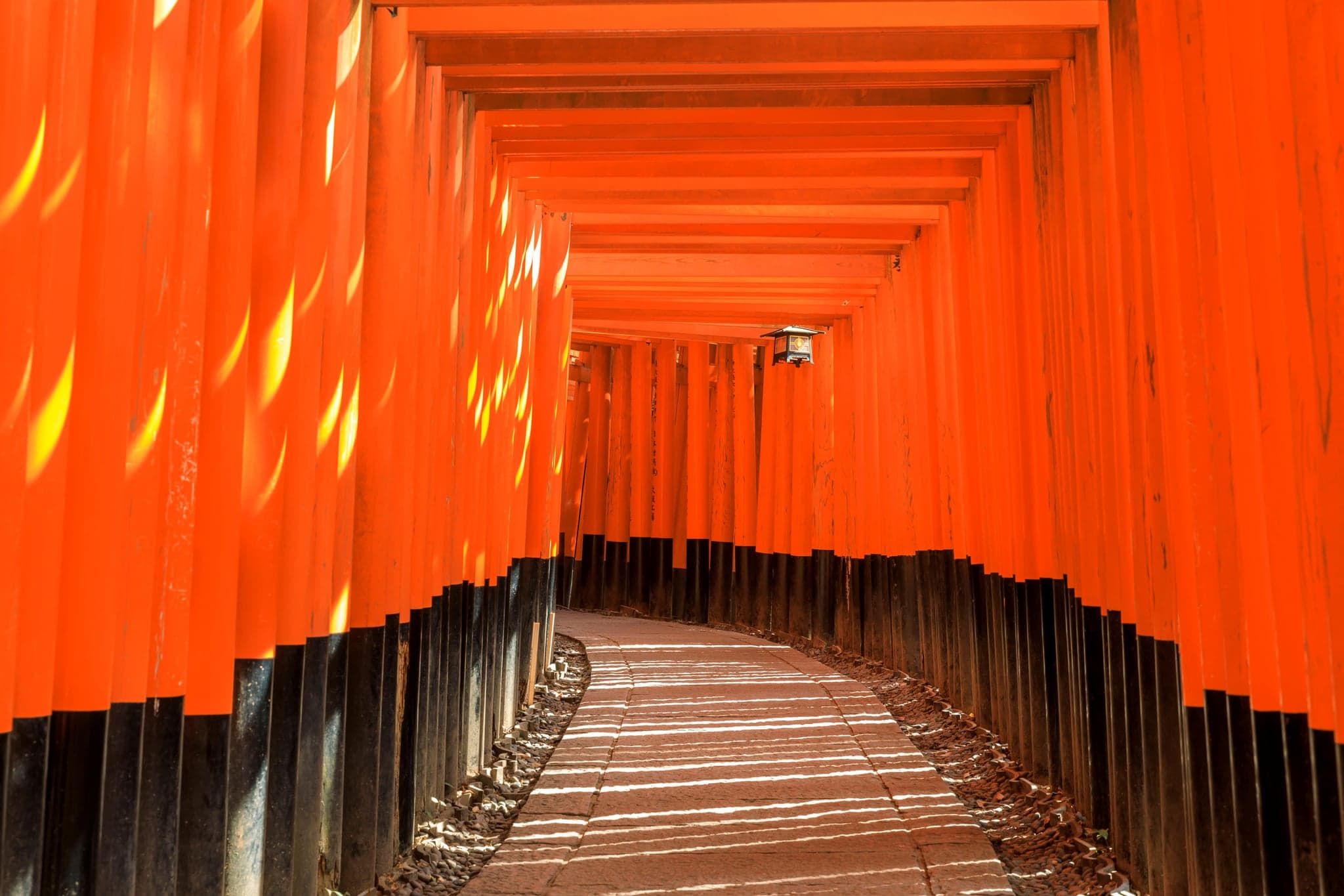 Japan Tours for First Time Visitors: Which Package Fits, What It Includes, and Real Prices