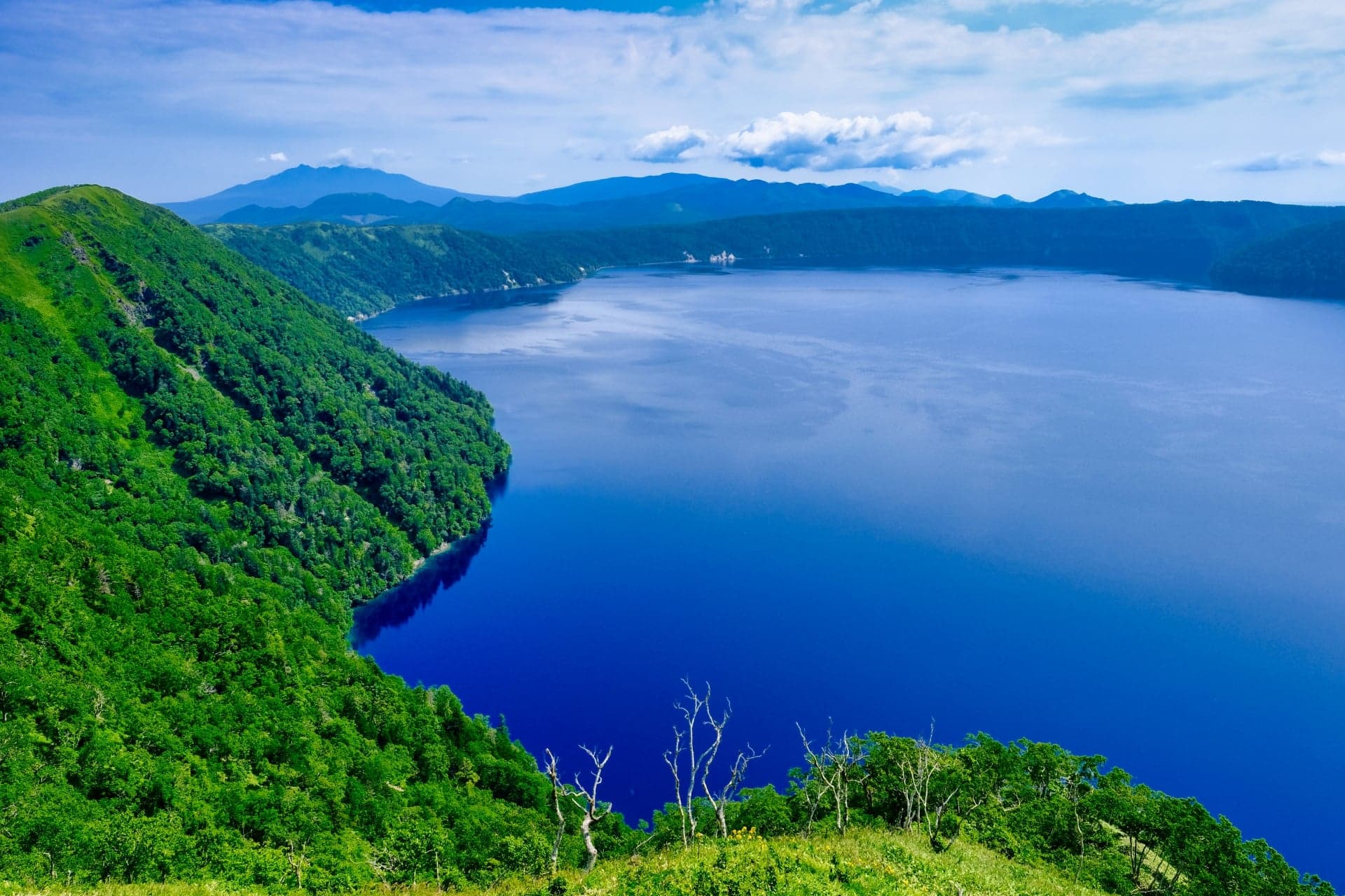 Japan Tours for Seniors: How Much You Walk, What Is Booked for You, and Which Route Fits