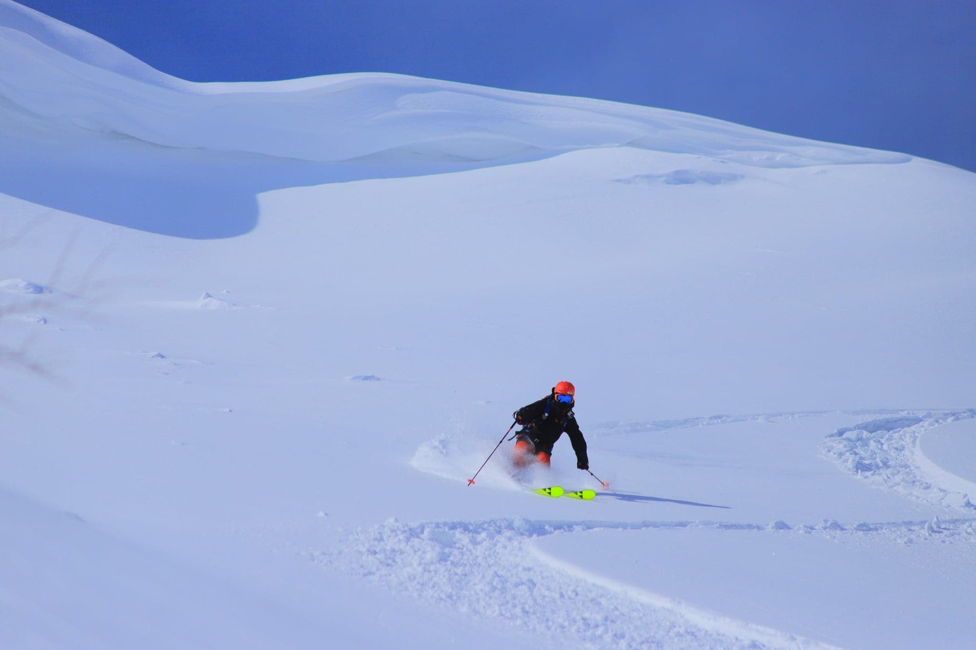A skier throwing up a spray of deep powder among birch trees on a sunny day in central Hokkaido