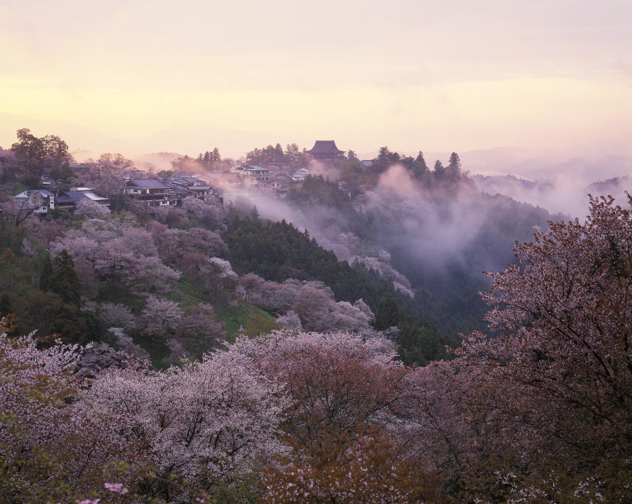 Mount Yoshino: Japan's Cherry Blossom Mountain, and How to Actually Visit It