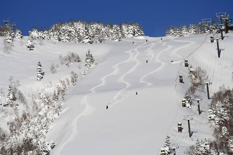 A wide groomed piste with ski tracks running under a chairlift at Shiga Kogen, lined with snow-covered conifers