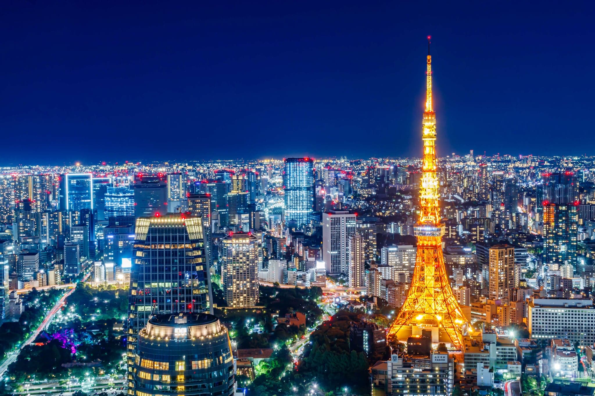 Tokyo at Night: The Best Night Views, Neon Streets and Nightlife, District by District