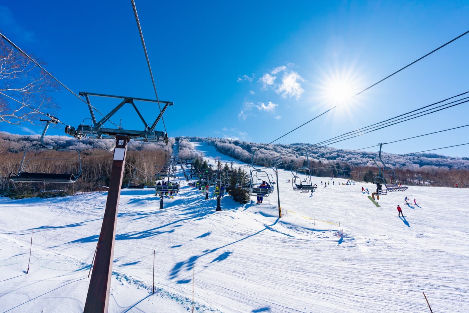 Chairlifts running up a wide groomed slope at Shiga Kogen under a clear sky
