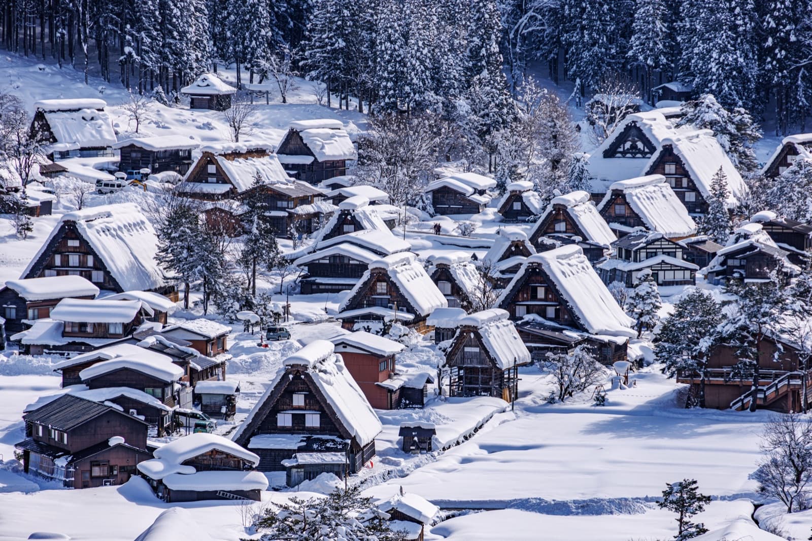 Snow-covered thatched gassho-zukuri farmhouses of Shirakawa-go seen from the hillside in winter